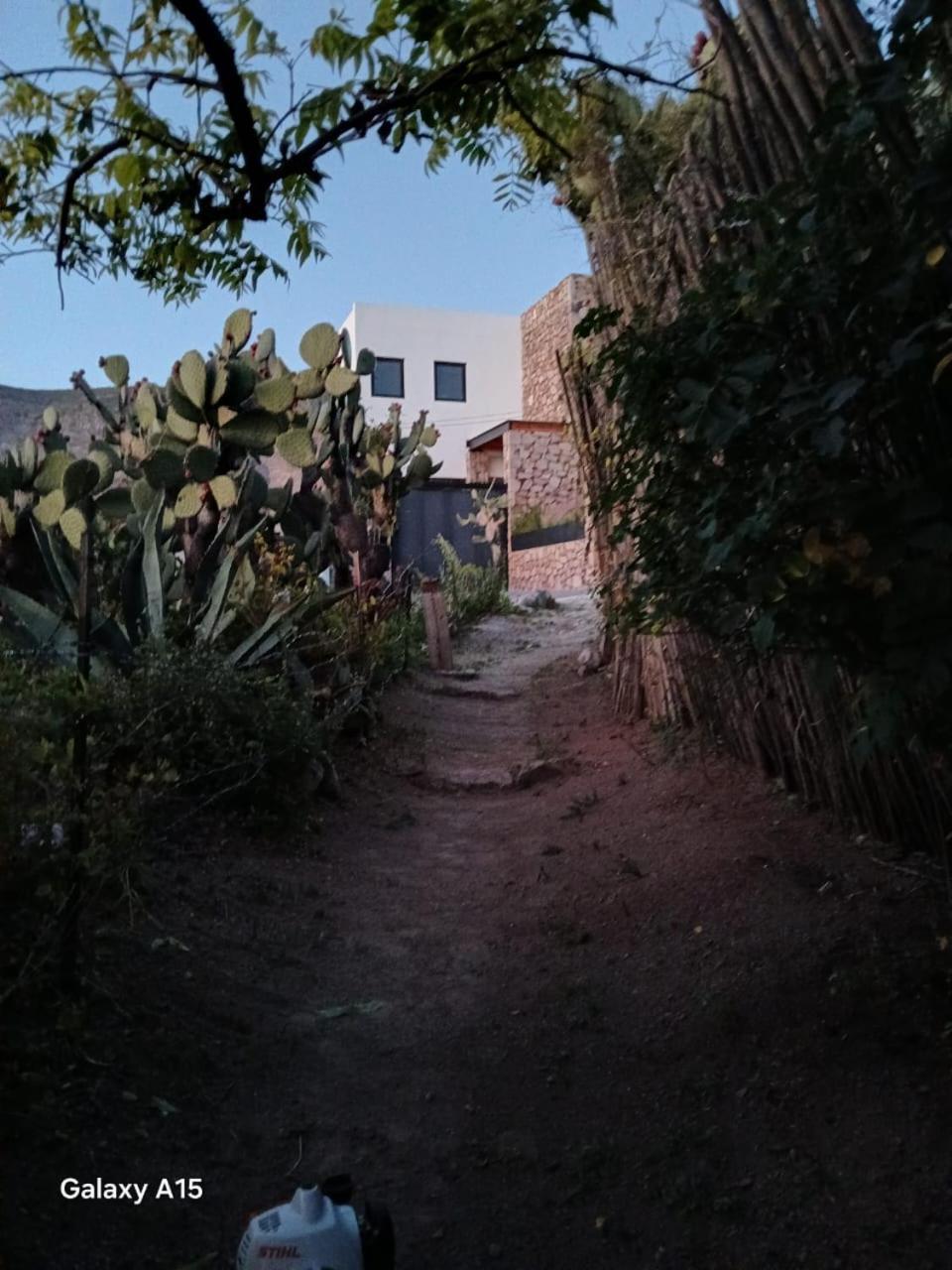 Affittacamere Ventana Al Desierto Catorce Esterno foto
