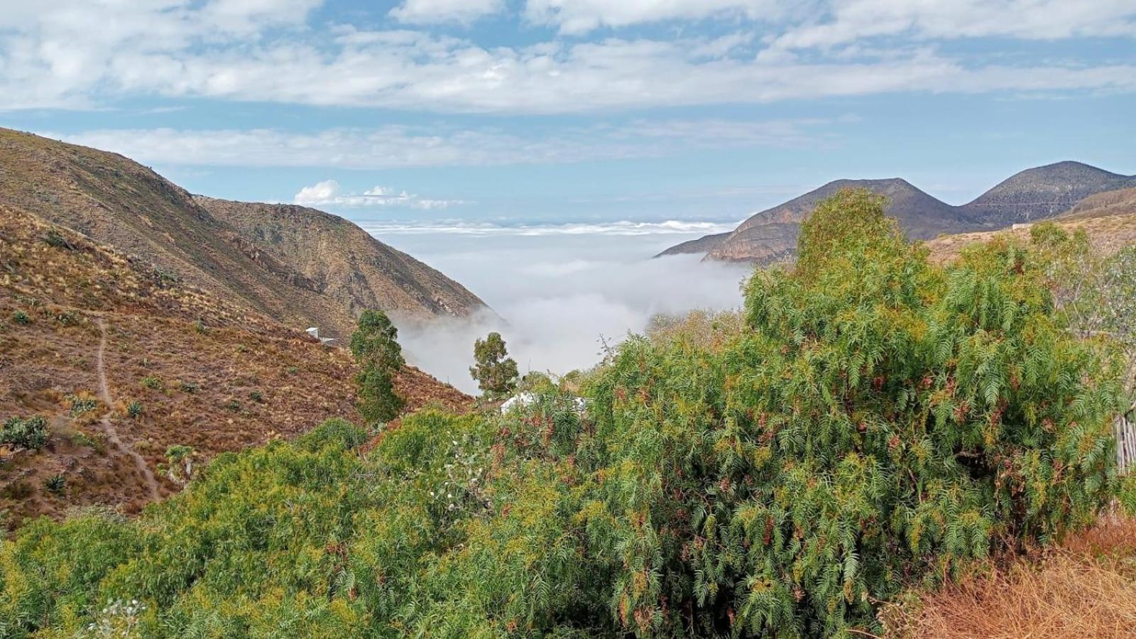 Affittacamere Ventana Al Desierto Catorce Esterno foto
